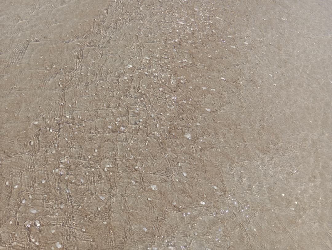 Ảnh minh hoạ — a person riding a surfboard on top of a sandy beach