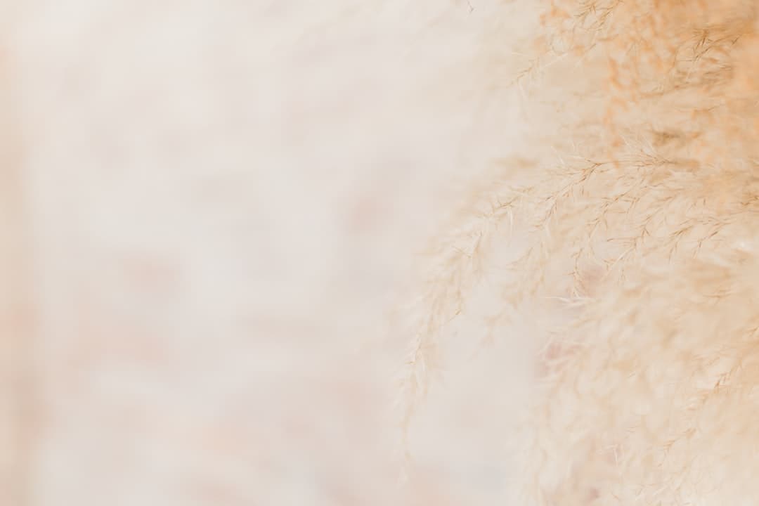 Ảnh minh hoạ — a close up of a white fur texture