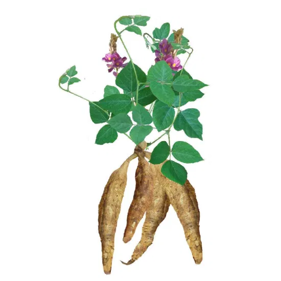 Onaka giảm mỡ bụng: Bí quyết thon gọn vòng eo an toàn từ Nhật Bản 6 Chiết xuất rễ cây Kudzu trong Onaka giúp đốt cháy mỡ bụng hiệu quả.